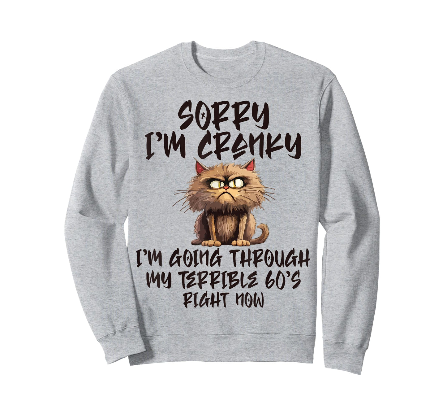 Sorry I'm Cranky I'm Going Through My Terrible 60s Funny Cat T-Shirt for Men Women