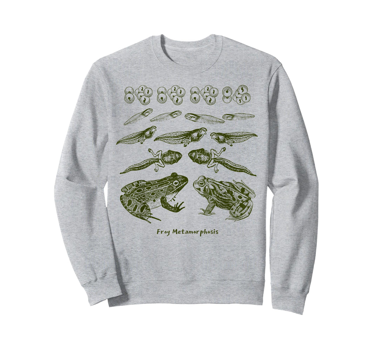 Frog Tadpole Life Cycle Metamorphosis Biology Science T-Shirt