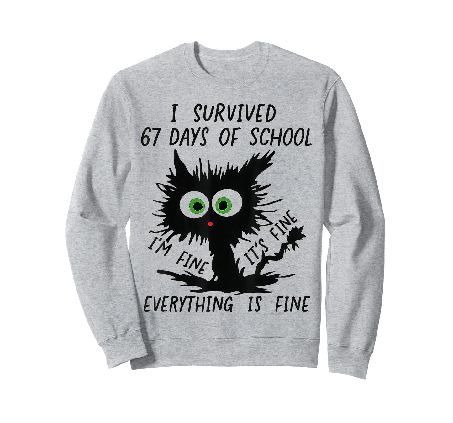 I Survived 67 Days of School Funny Teachers Students Humor T-Shirt