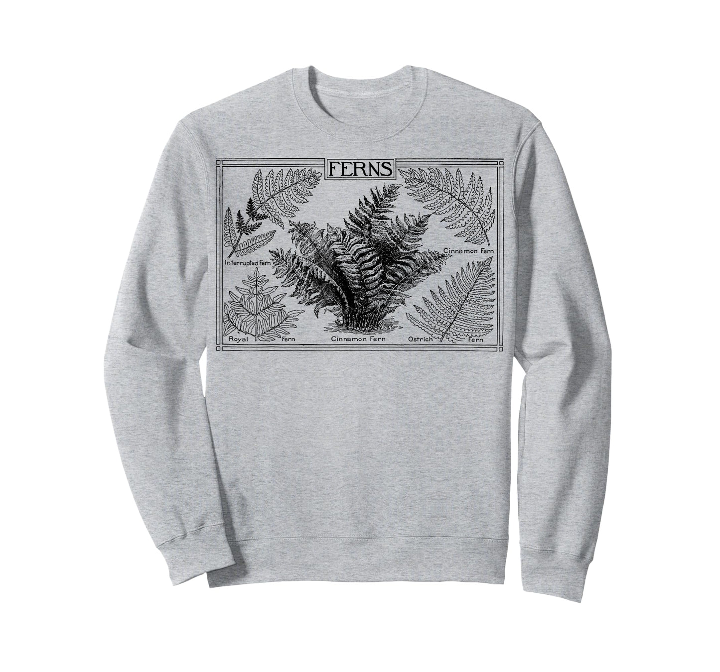 Fern Botanical Plant Botany T-Shirt