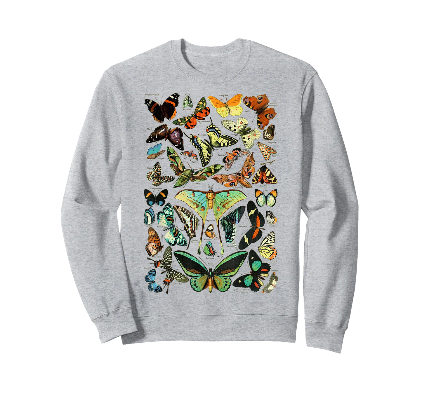Butterflies Butterfly Collection Scientific T-Shirt