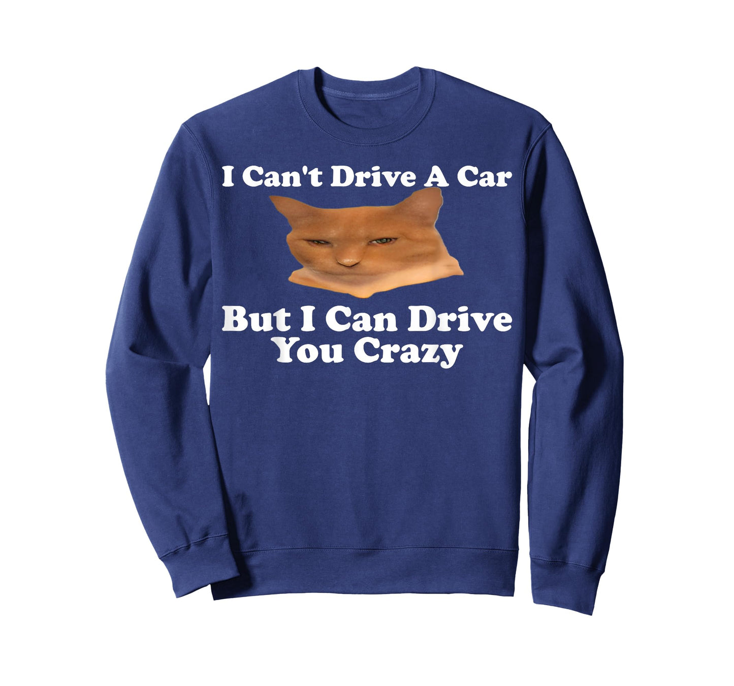 I Can't Drive A Car But I Can Drive You Crazy Cat Meme Gen-Z T-Shirt