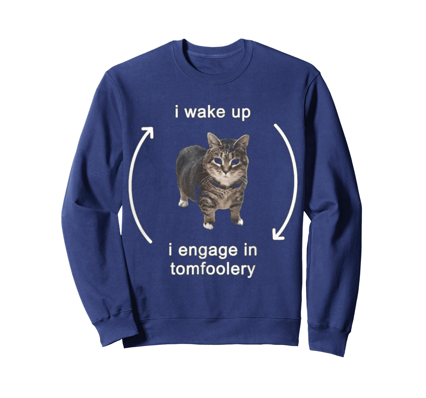 I Wake Up I Engage In Tomfoolery Cat FUNNY MEME T-Shirt for Men Women Kids