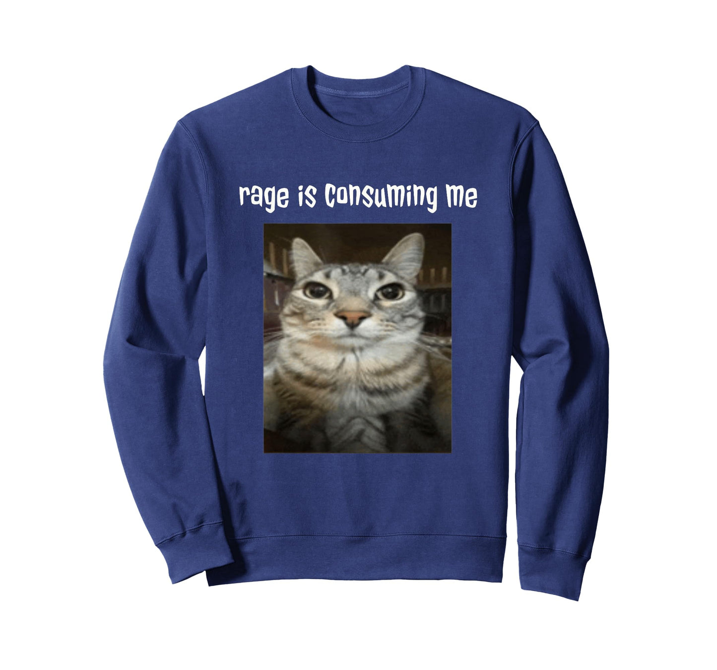 Silly Staring Cat Meme Rage Is Consuming Me T-Shirt