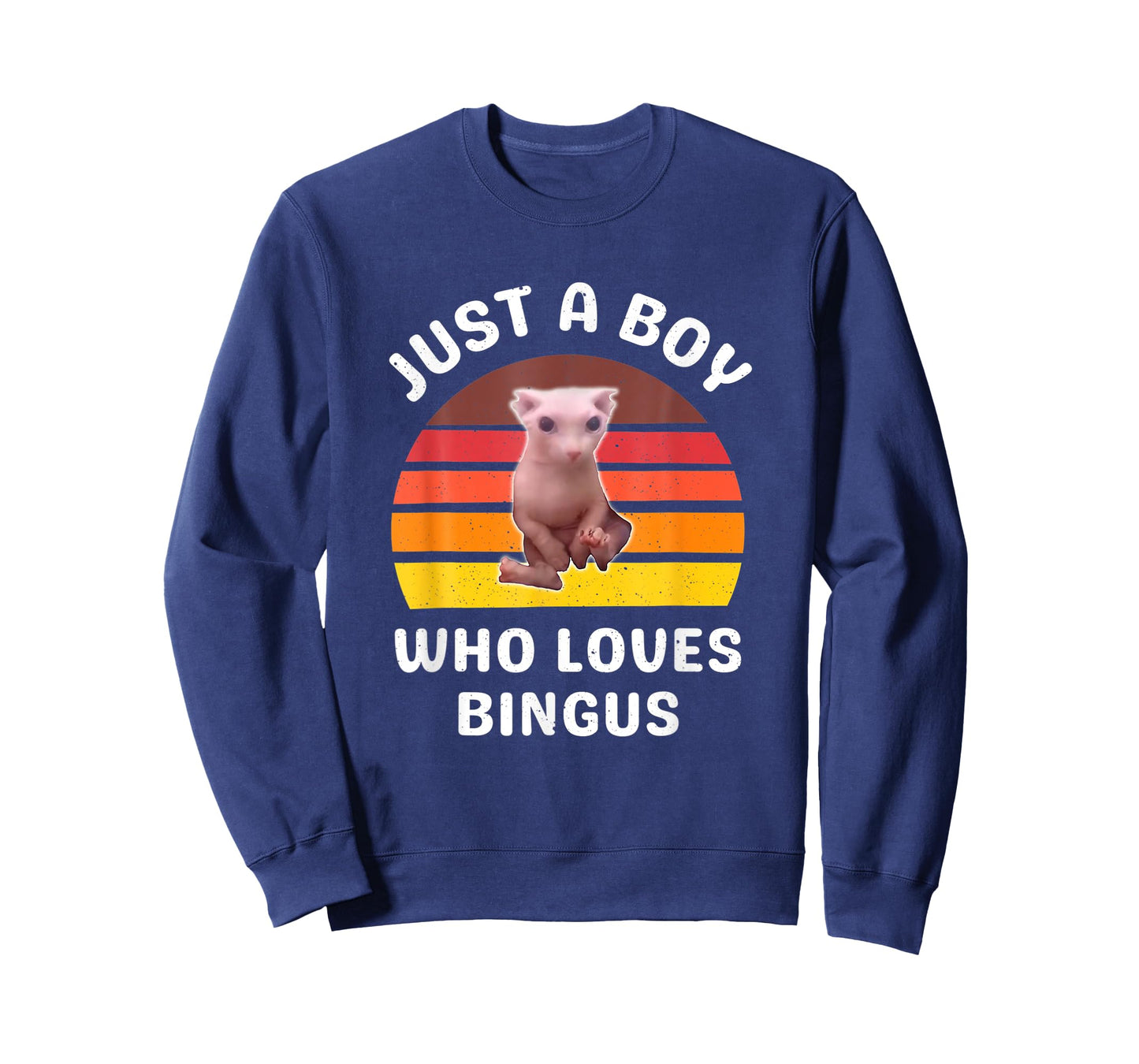 Just A Boy Who Loves Bingus Funny Hairless Sphynx Cat T-Shirt