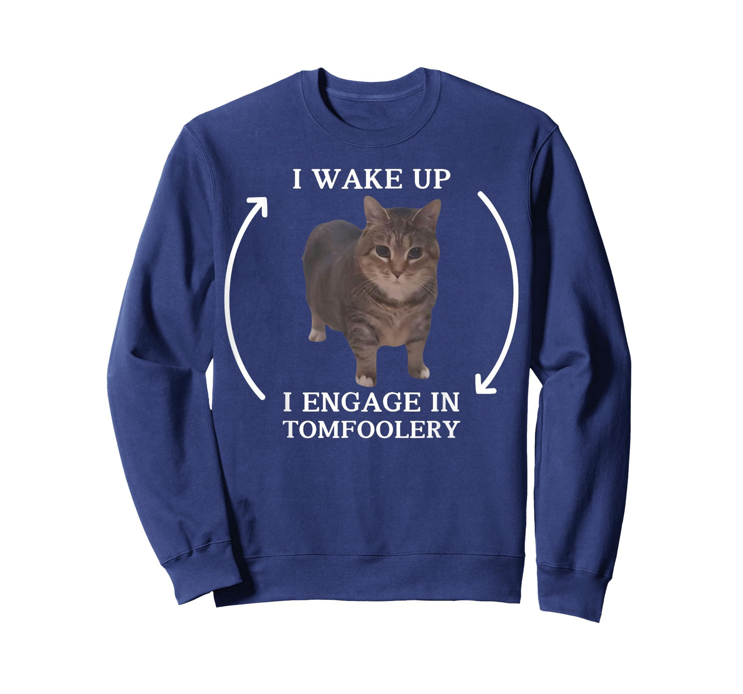 I Wake Up I Engage in Tomfoolery Meme Funny Memes Cat Meme Men Women T-Shirt