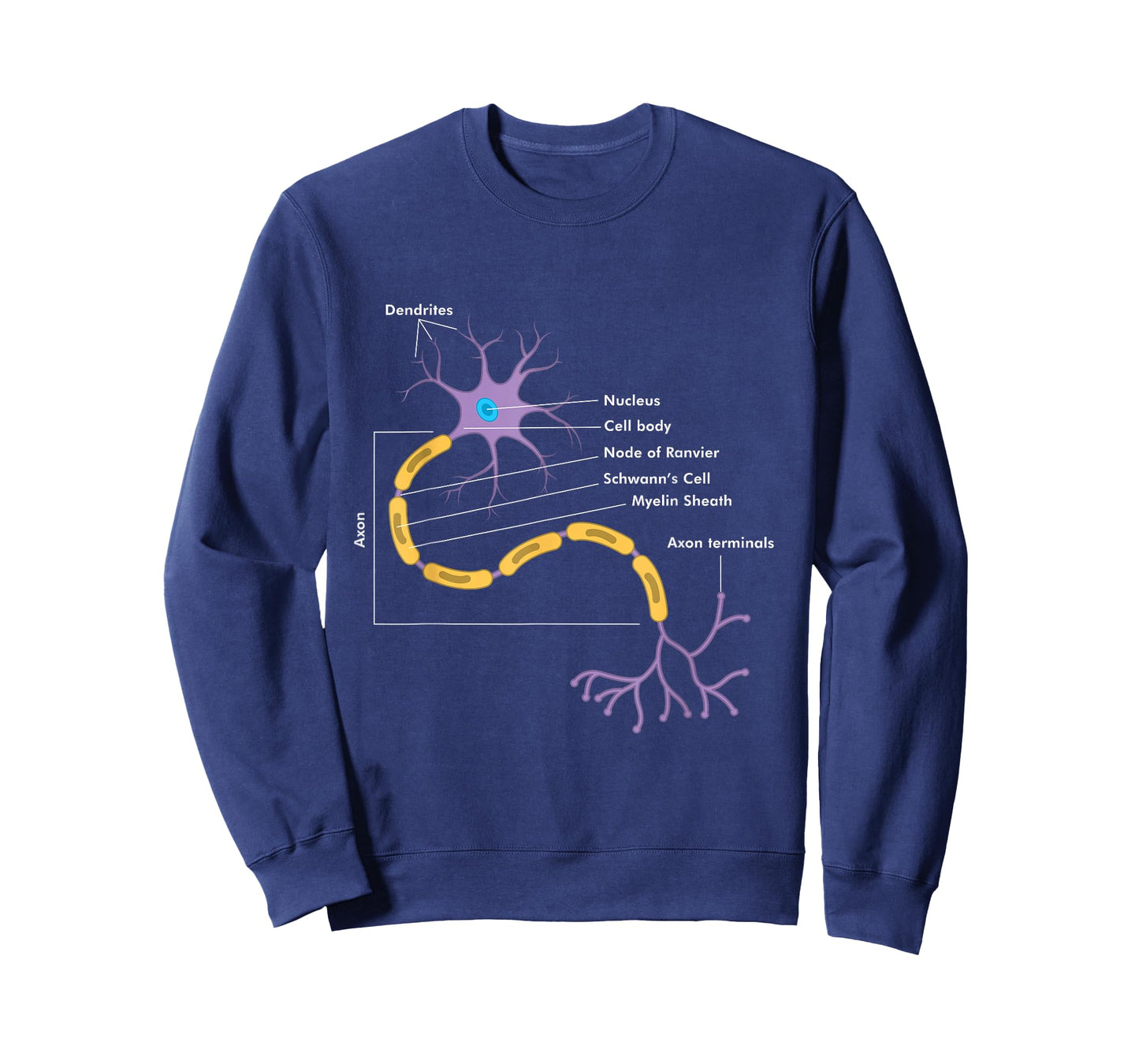 Anatomy Of Neuron Neurologist Gift T-Shirt