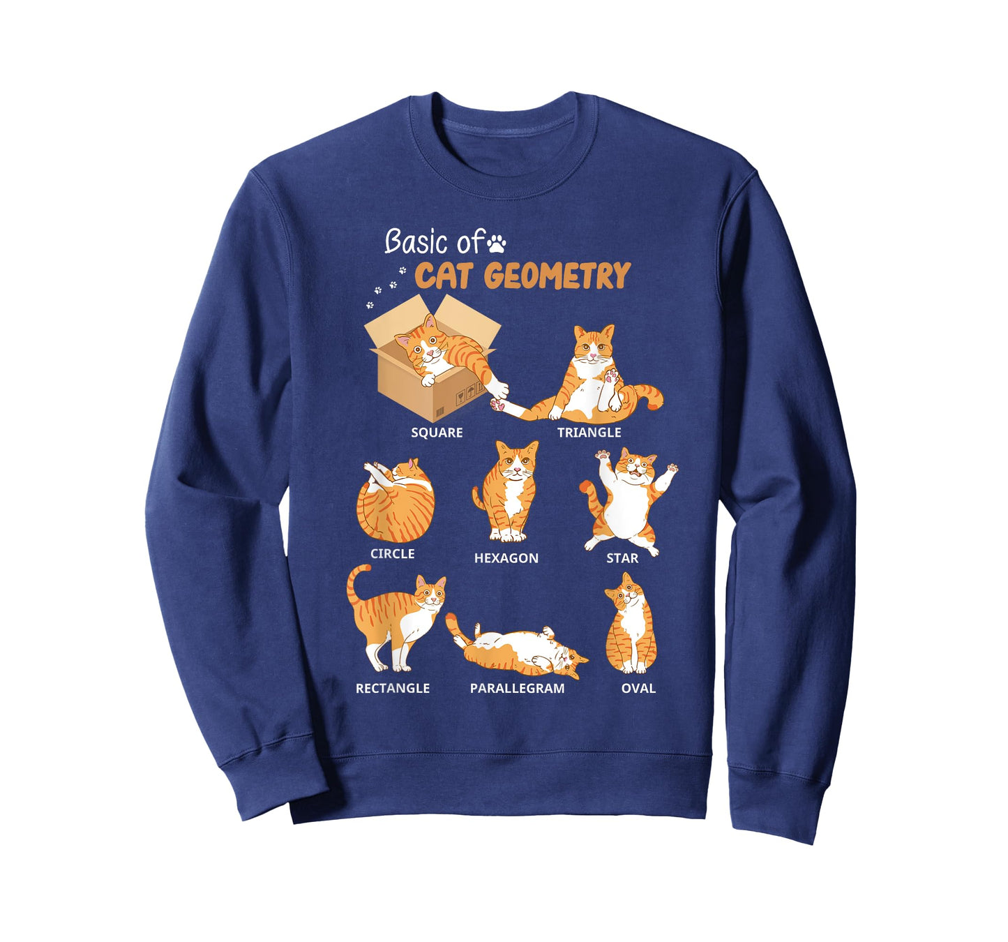 Basic Cat Geometry Cute Cat Lover Math School T-Shirt for Men Women Kids