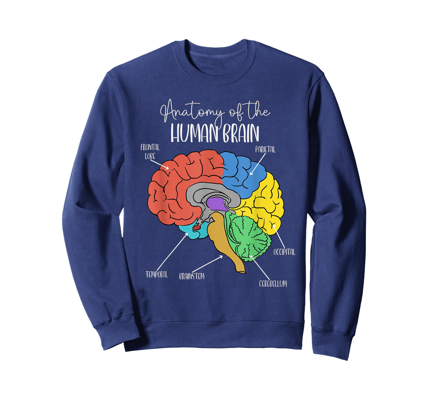 Anatomy of the Human Brain Diagram Neurology Colorful Brain T-Shirt