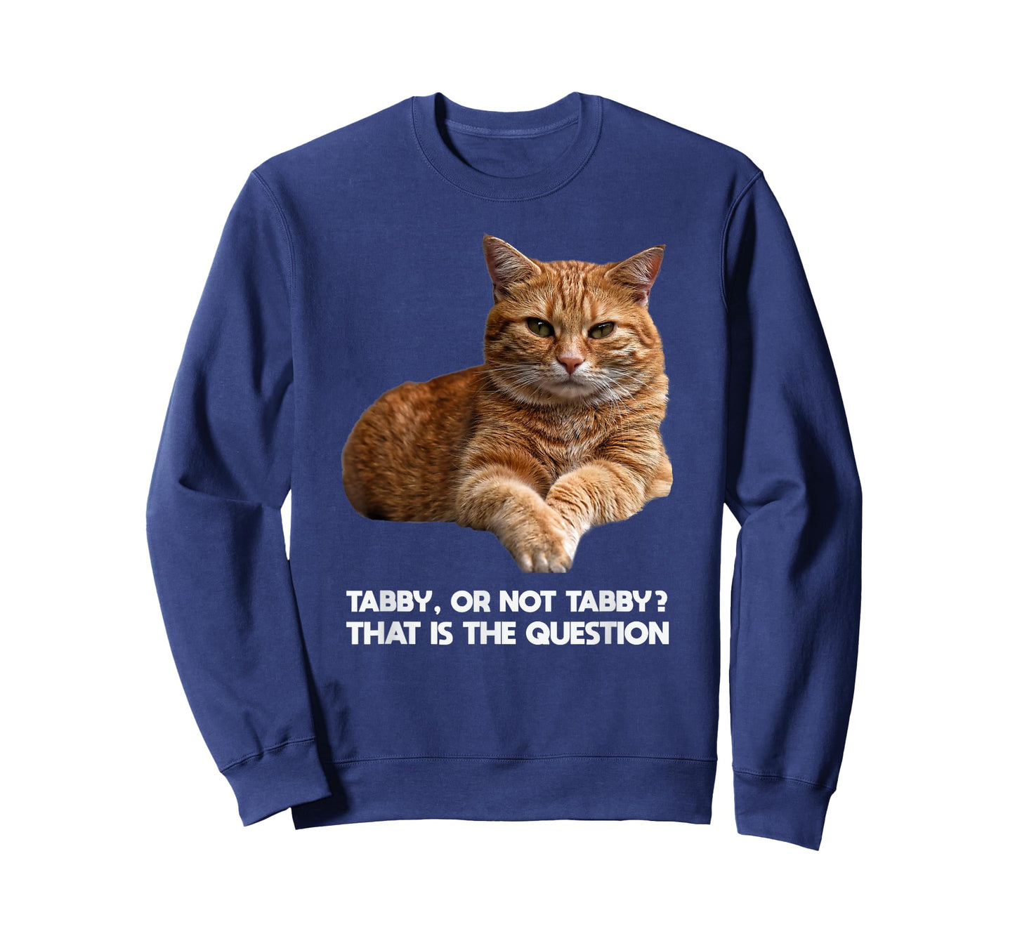 Orange Tabby Cat Funny Meme Gift T-Shirt