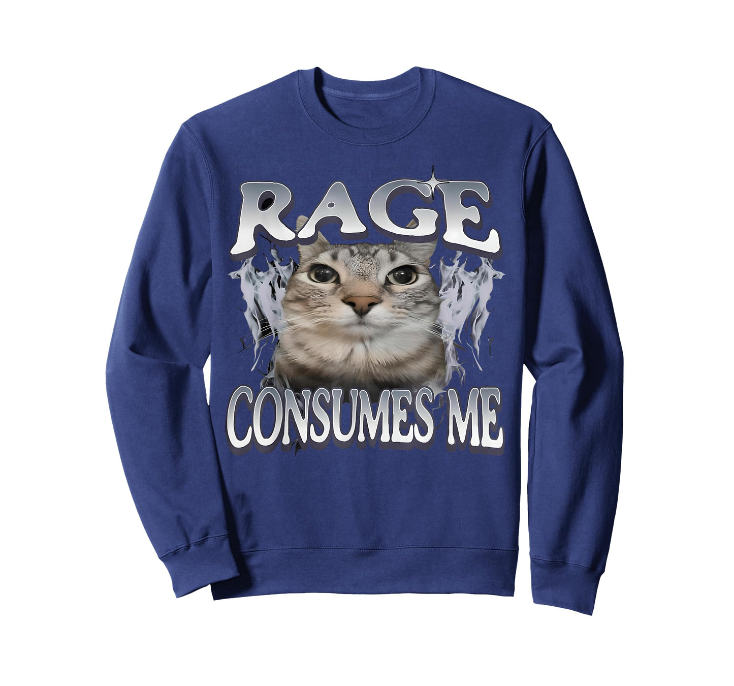 Rage Consumes Me Cat Funny Cat Meme Vintage Weird Humor T-Shirt