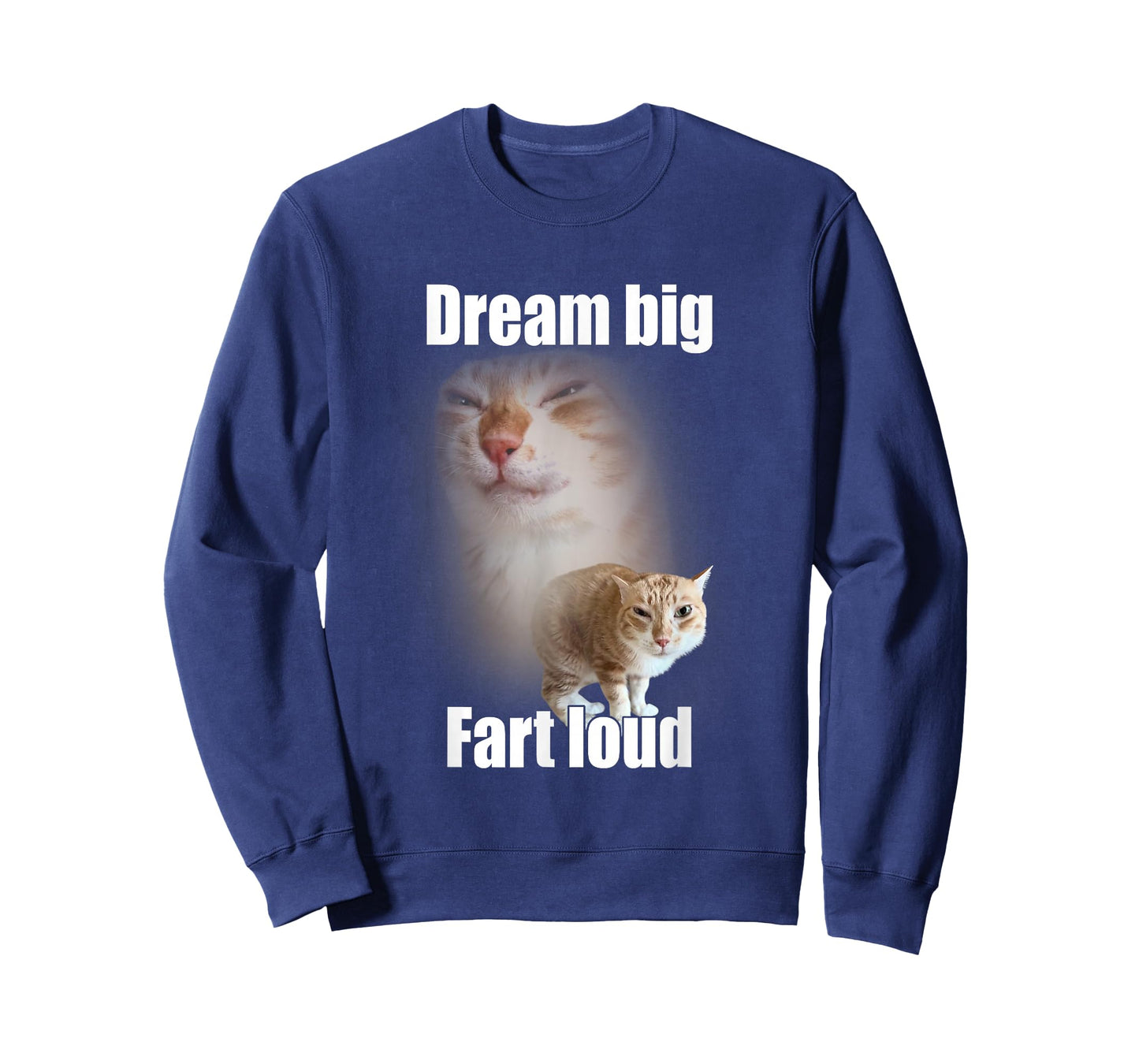 Dream Big Fart Loud Cat Meme Funny Saying T-Shirt