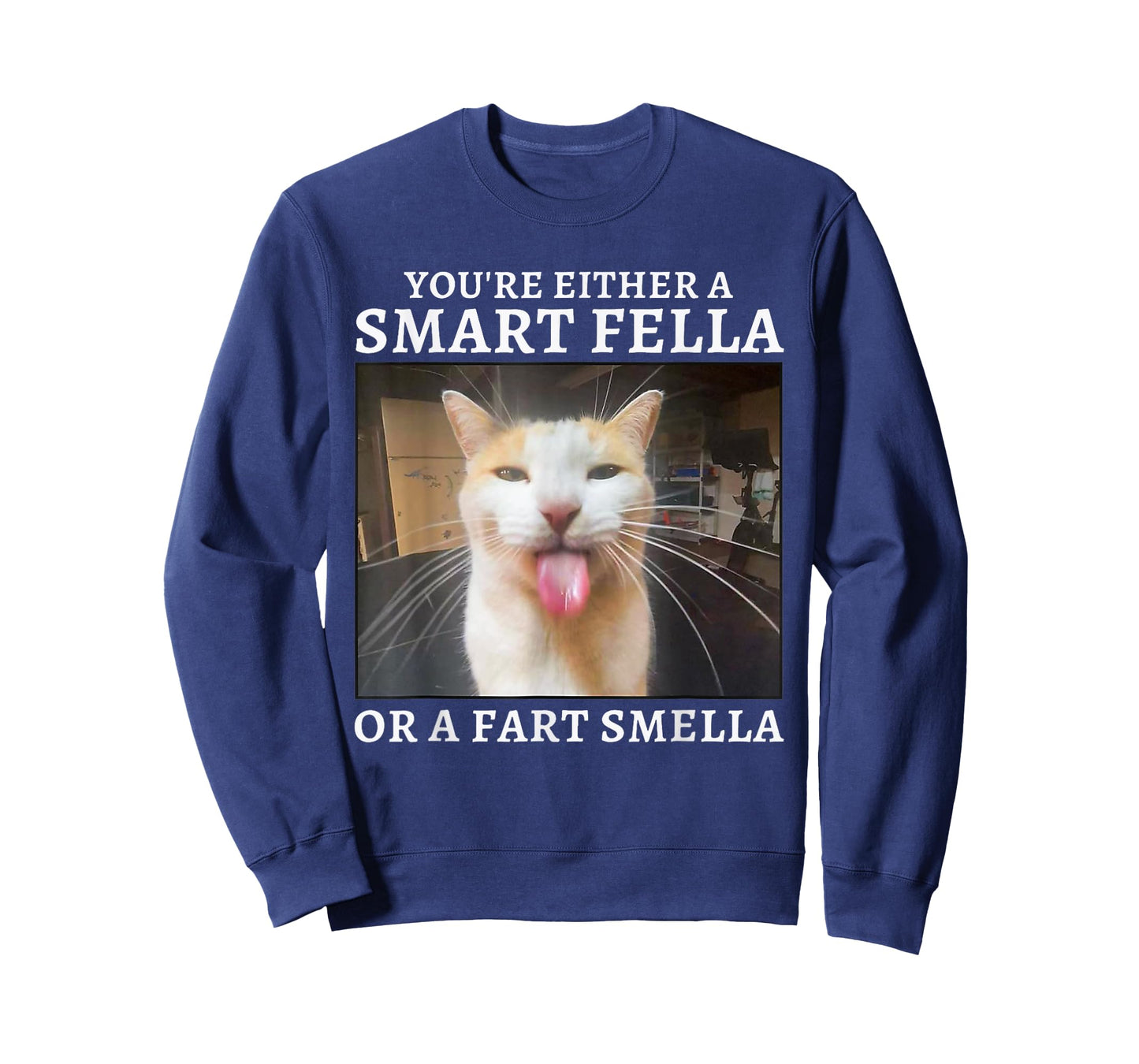 You're Either a Smart Fella or a Fart Smella Funny Cat Meme T-Shirt