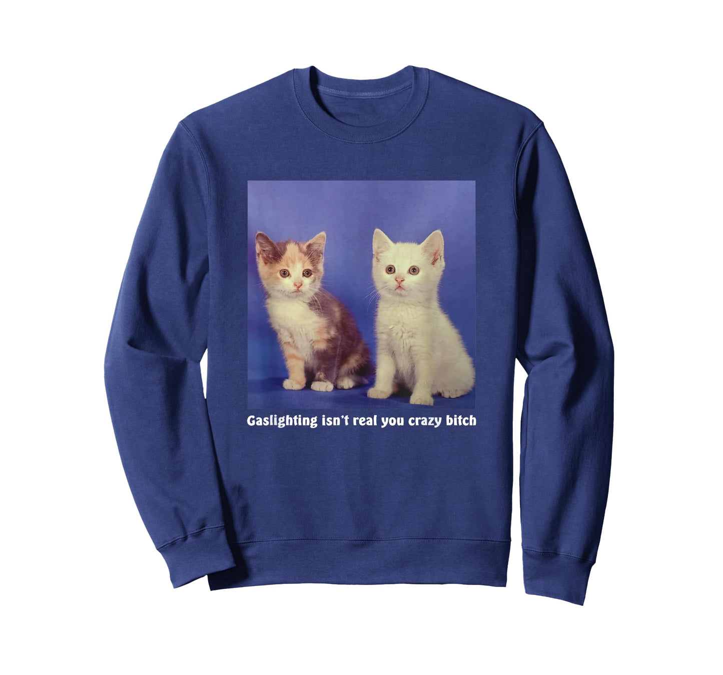 Gaslighting Isn't Real You Crazy B.I.T.C.H Funny Cat Lover T-Shirt for Men Women