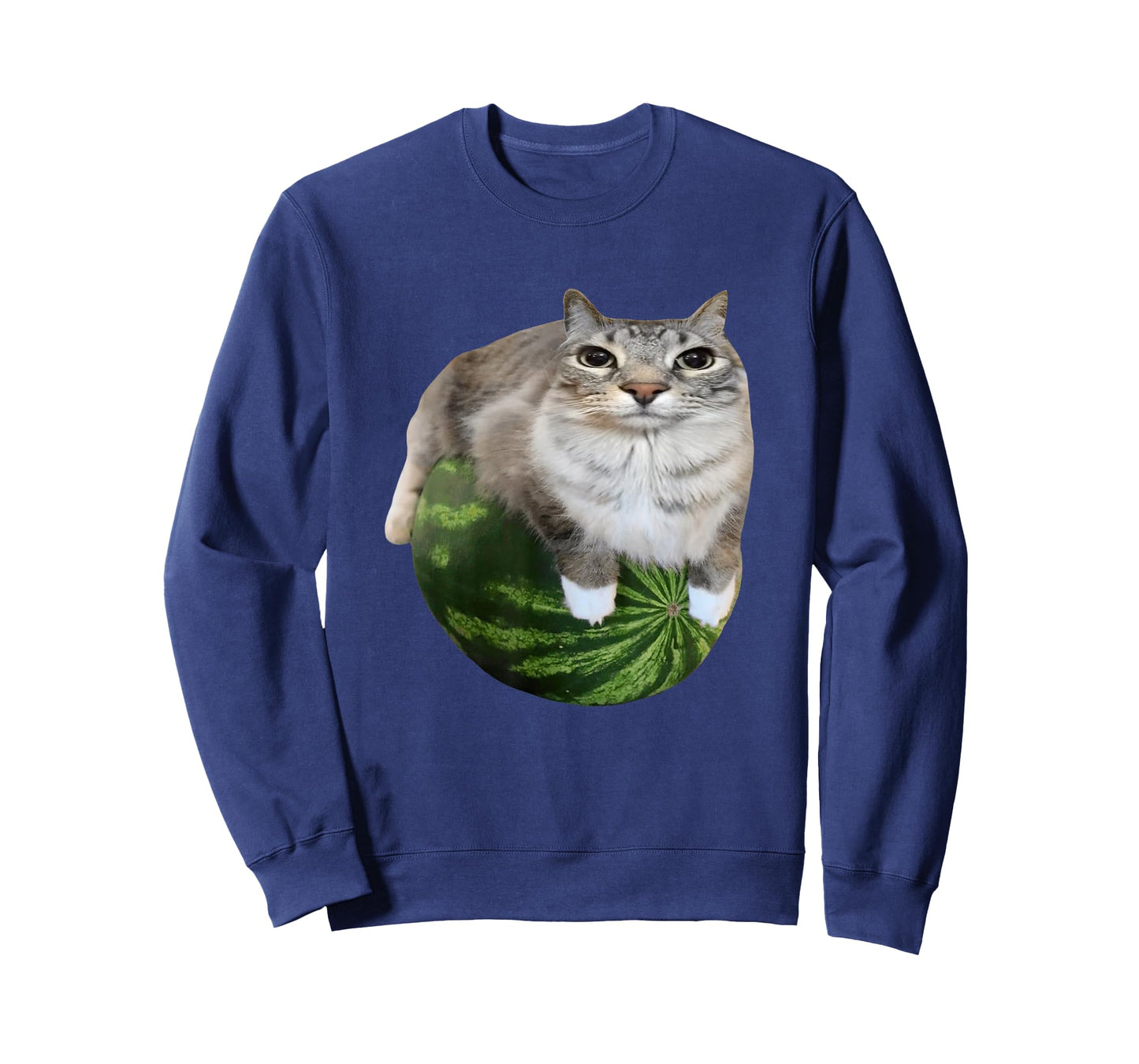 Watermelon Cat Silly Cat Meme T-Shirt