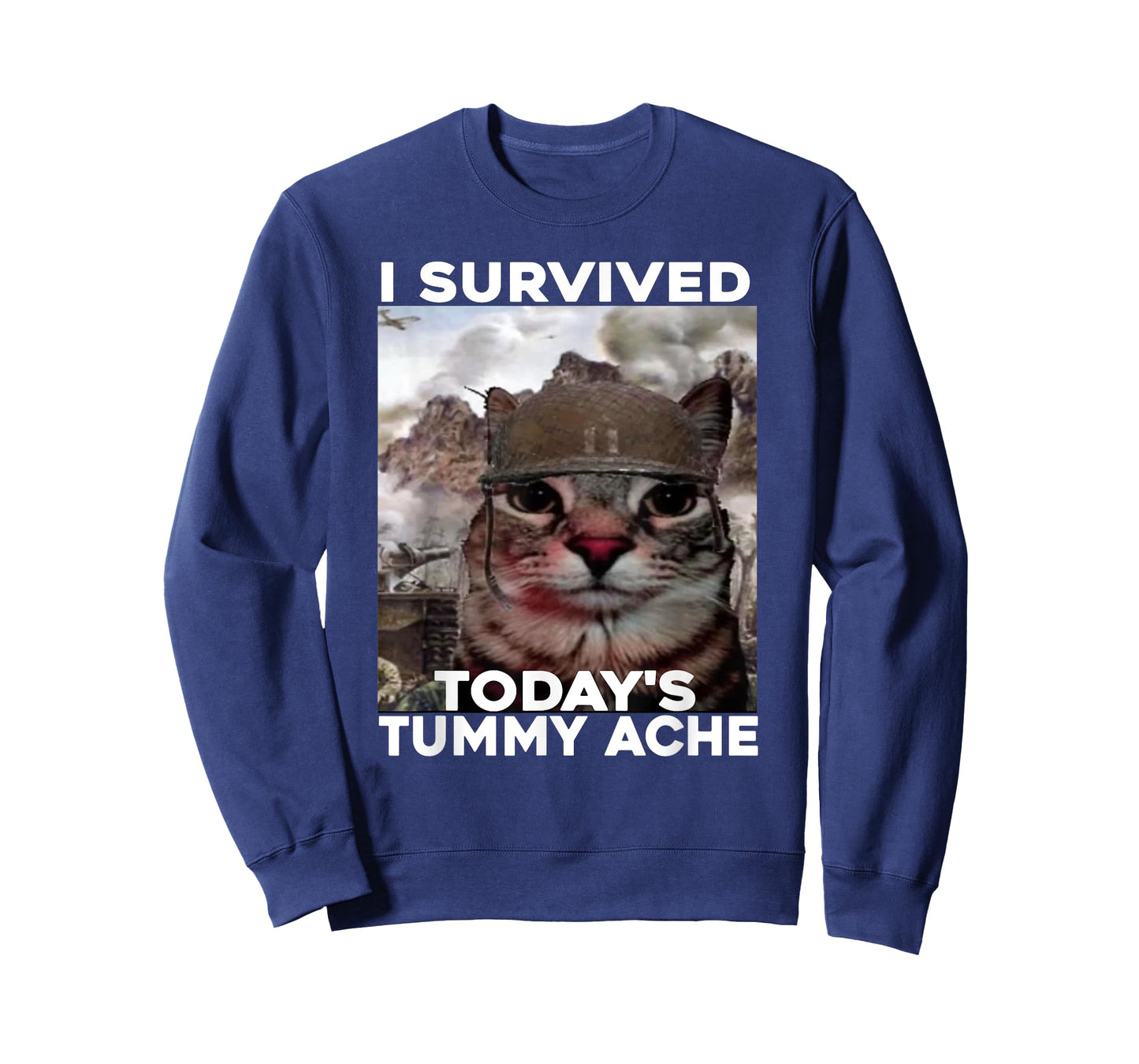 i survived today's tummy ache meme T-Shirt