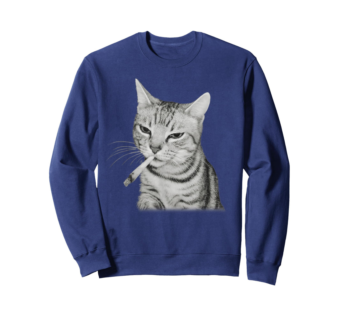 Cigarette Funny Retro Grumpy Smoking Cat Meme Brainrot T-Shirt