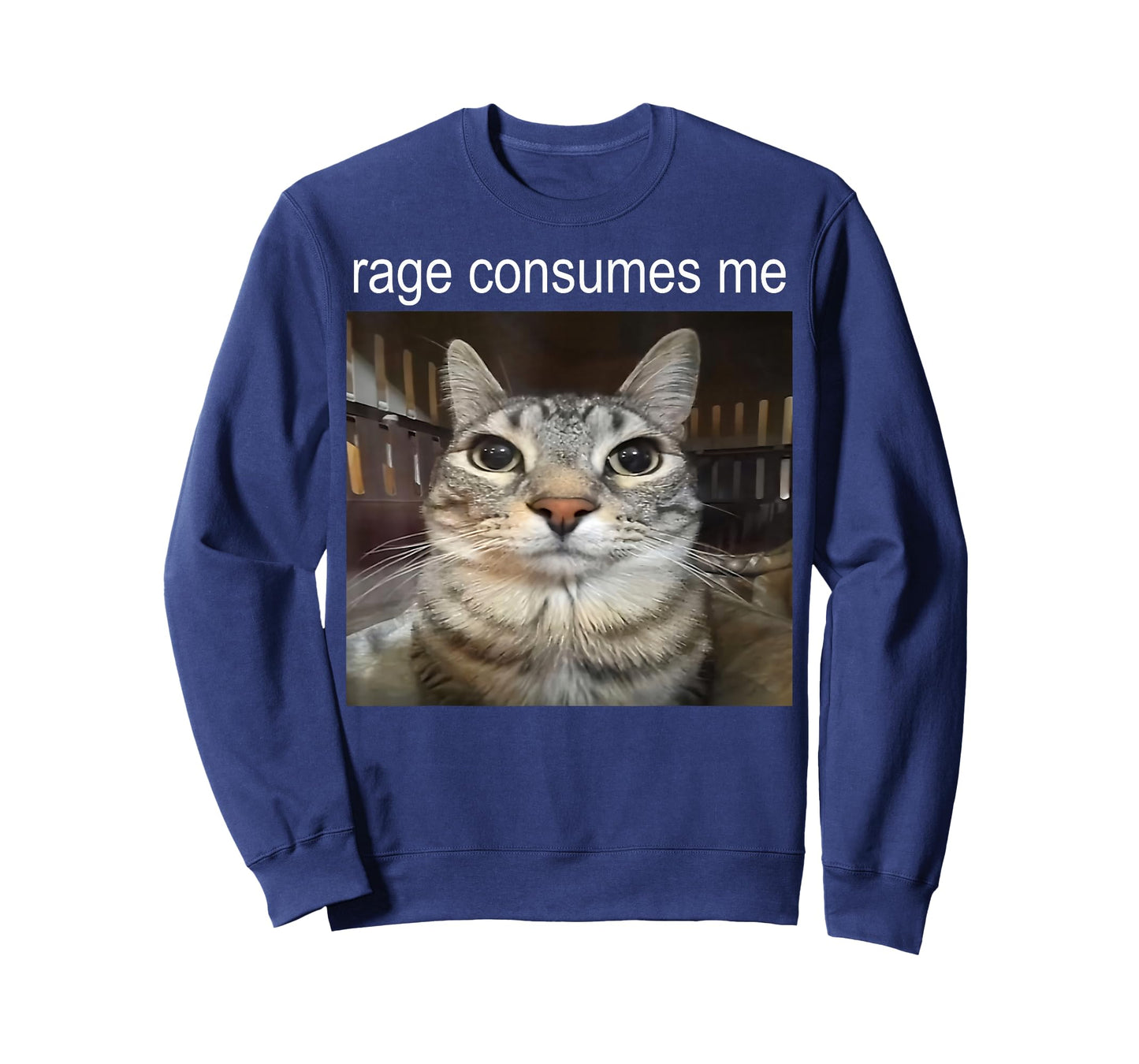 Funny Cat Meme Quote Retro Cat Lover Rage Consumes Me T-Shirt