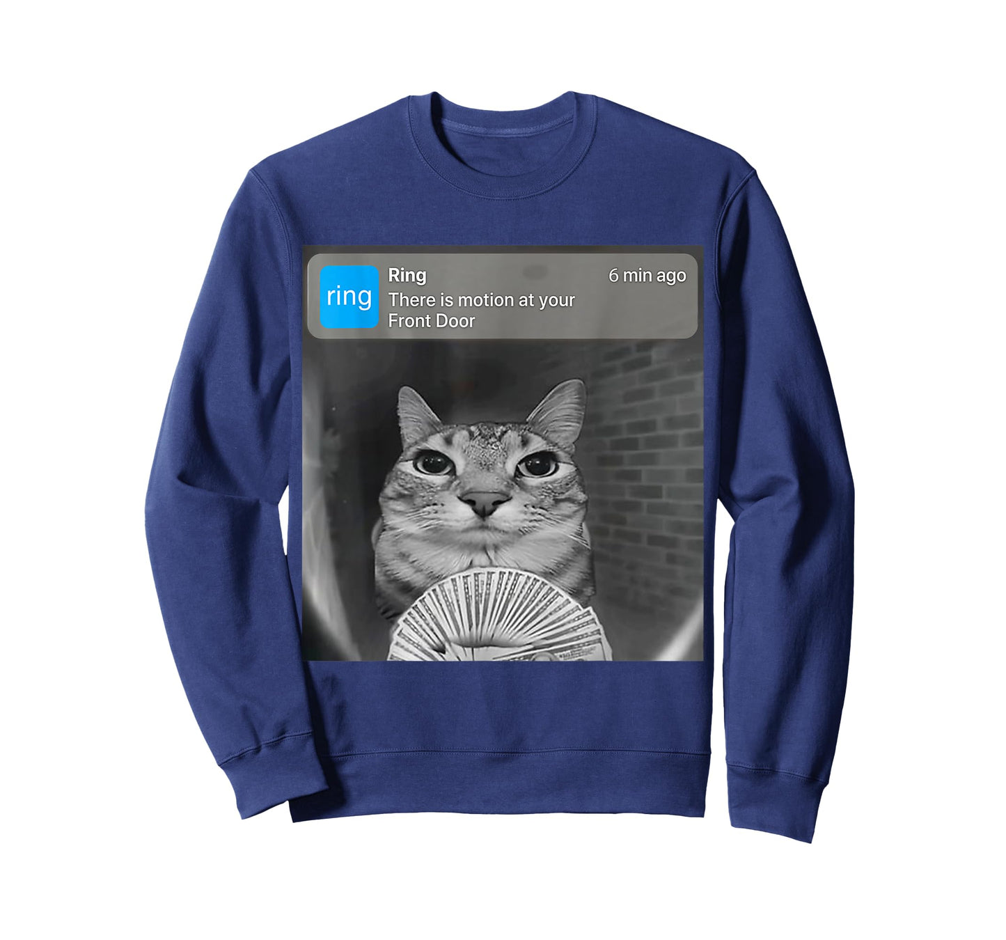 There is Motion at Your Front Door Funny Silly Cat Meme T-Shirt