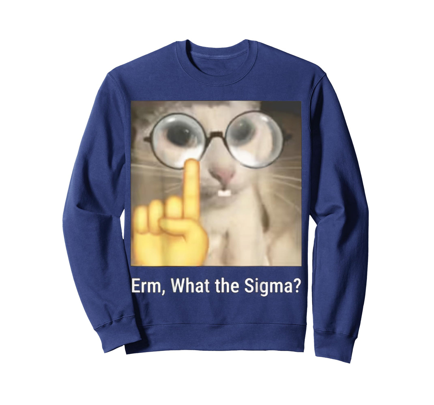 Erm, What The Sigma? Cat Meme Funny T-Shirt