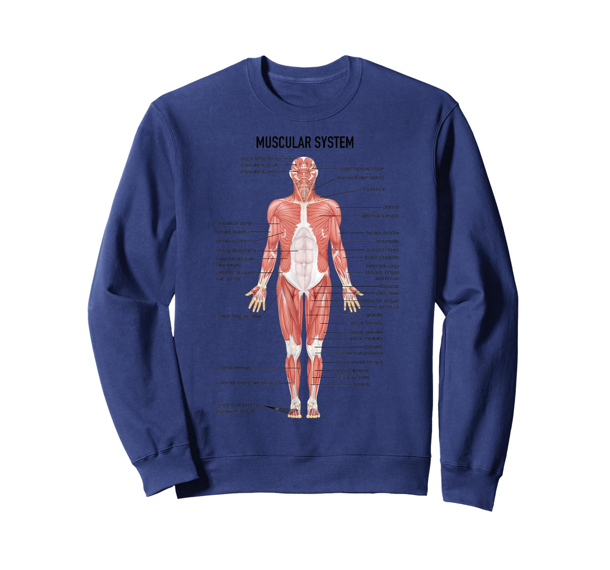 Muscular System Nurse Doctor Funny Med Medical Jokes Humor T-Shirt