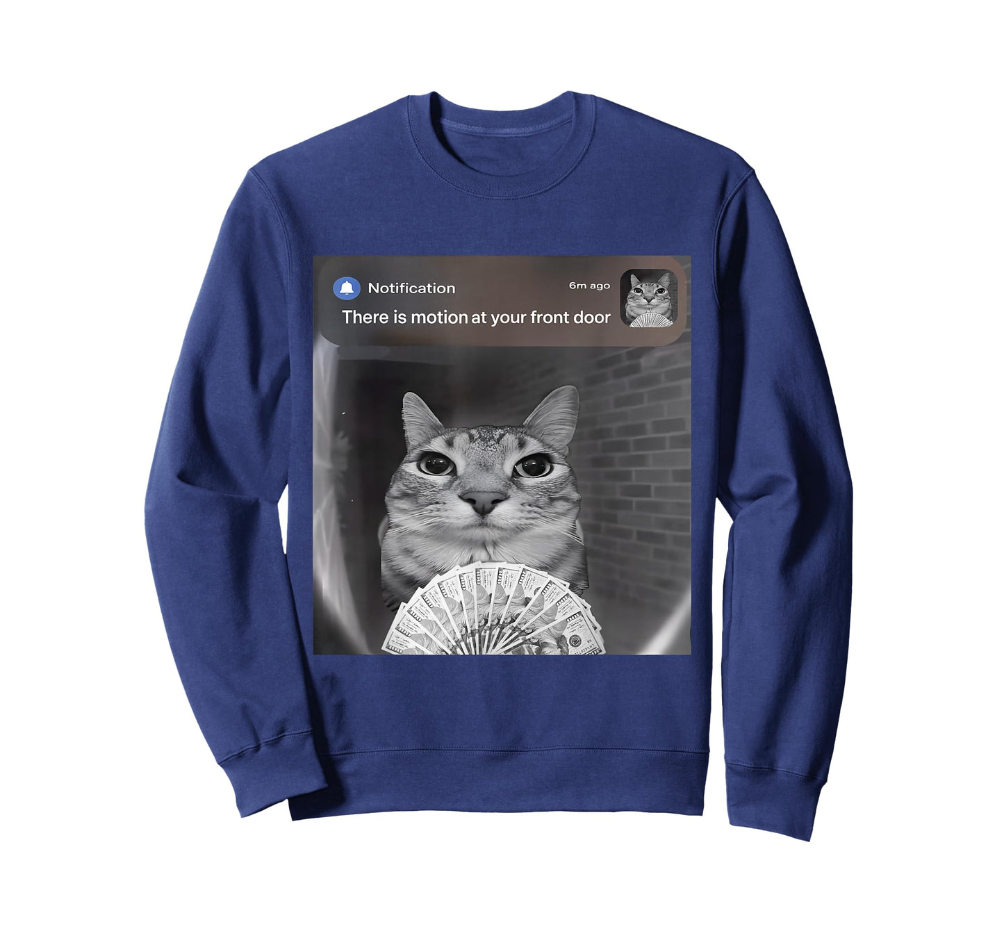 There is Motion at Your Front Door Funny Cat Motion Meme T-Shirt