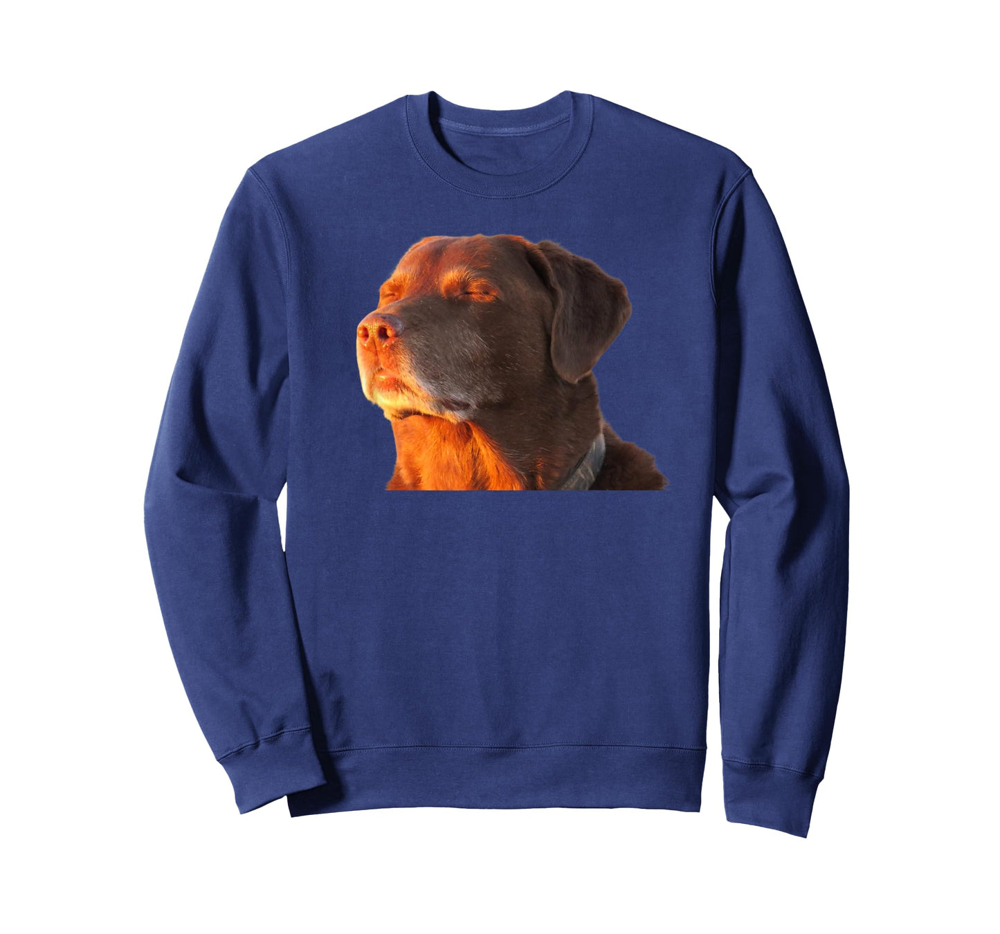 Cooked Dog Accepting Fate Closing His Eyes Funny Dog Meme T-Shirt