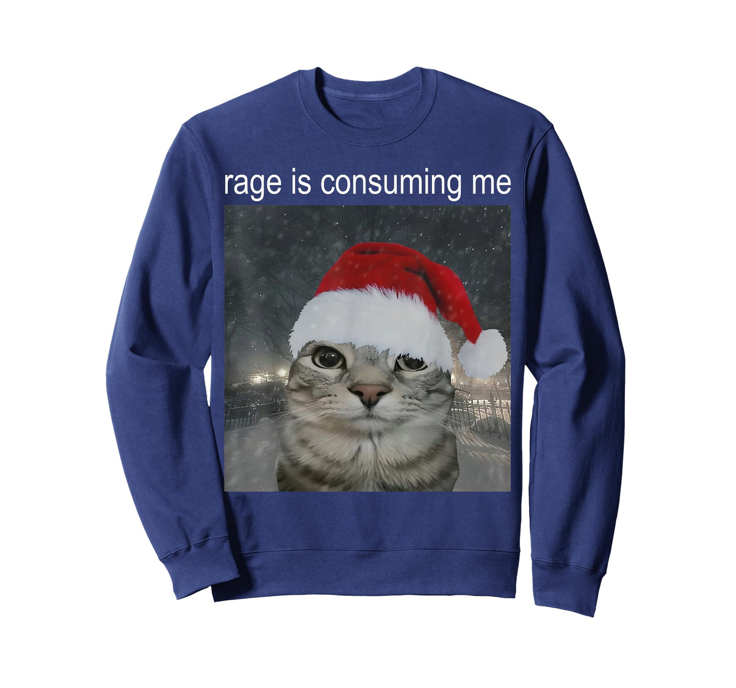 Rage Consumes Me Funny Christmas Cat Meme Women Men T-Shirt