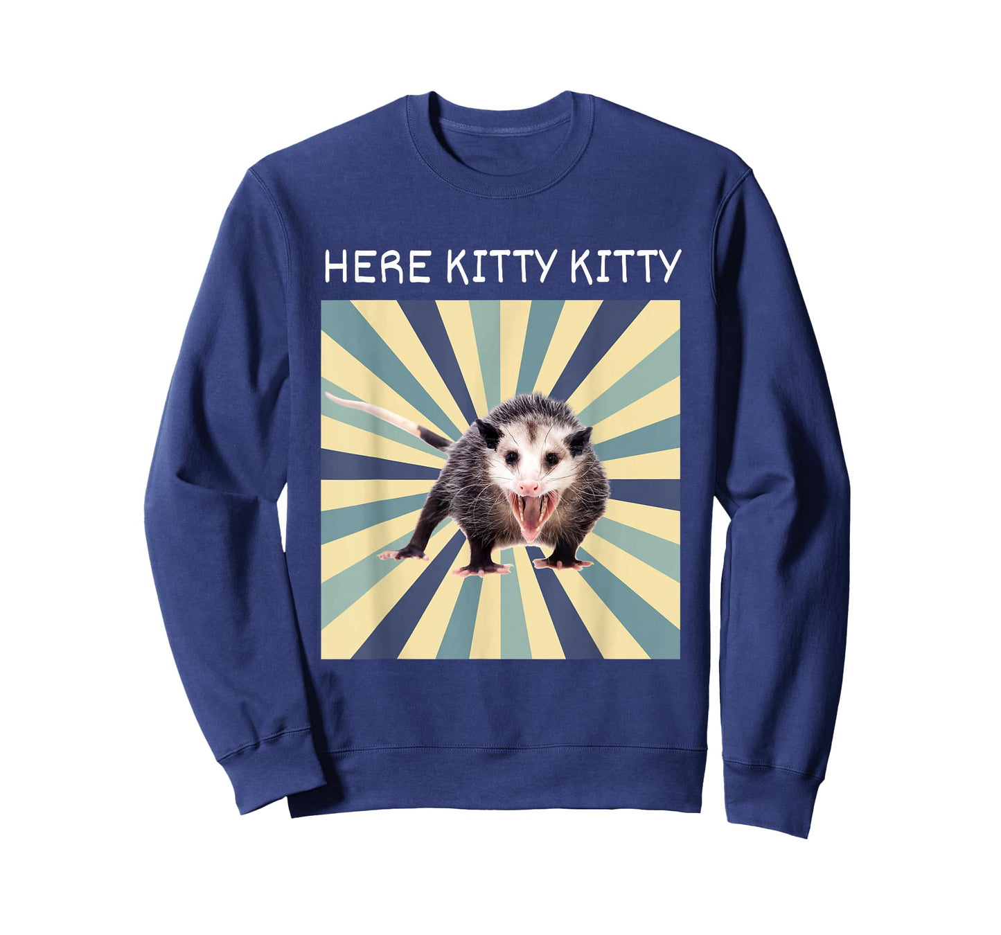 Here Kitty Kitty Opossum Funny Street Cat T-Shirt