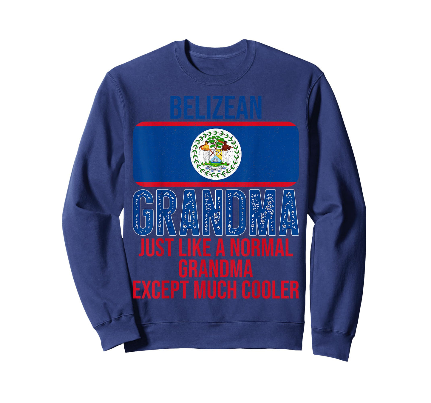 Vintage Belizean Grandma Belize Flag for Mother's Day T-Shirt