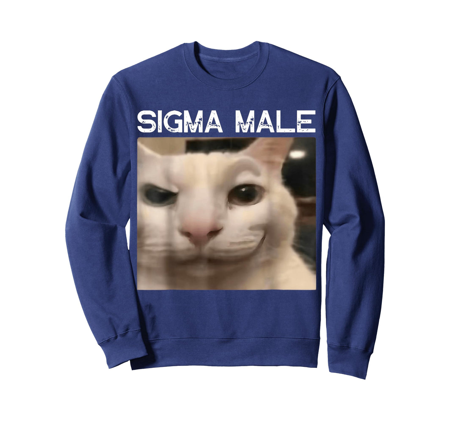 Sigma Male Meme Cat Meme Funny Memes Internet Memes GenZ Boy T-Shirt