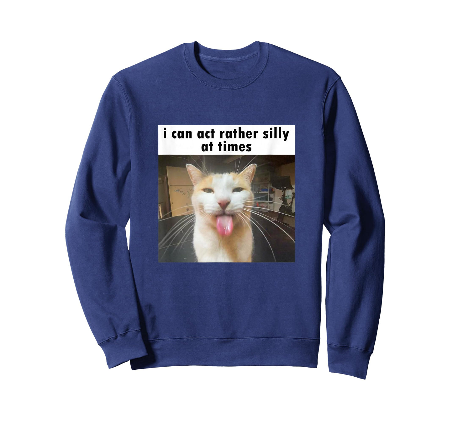 I Can Act Rather Silly at Times, Funny Silly Cat Meme T-Shirt