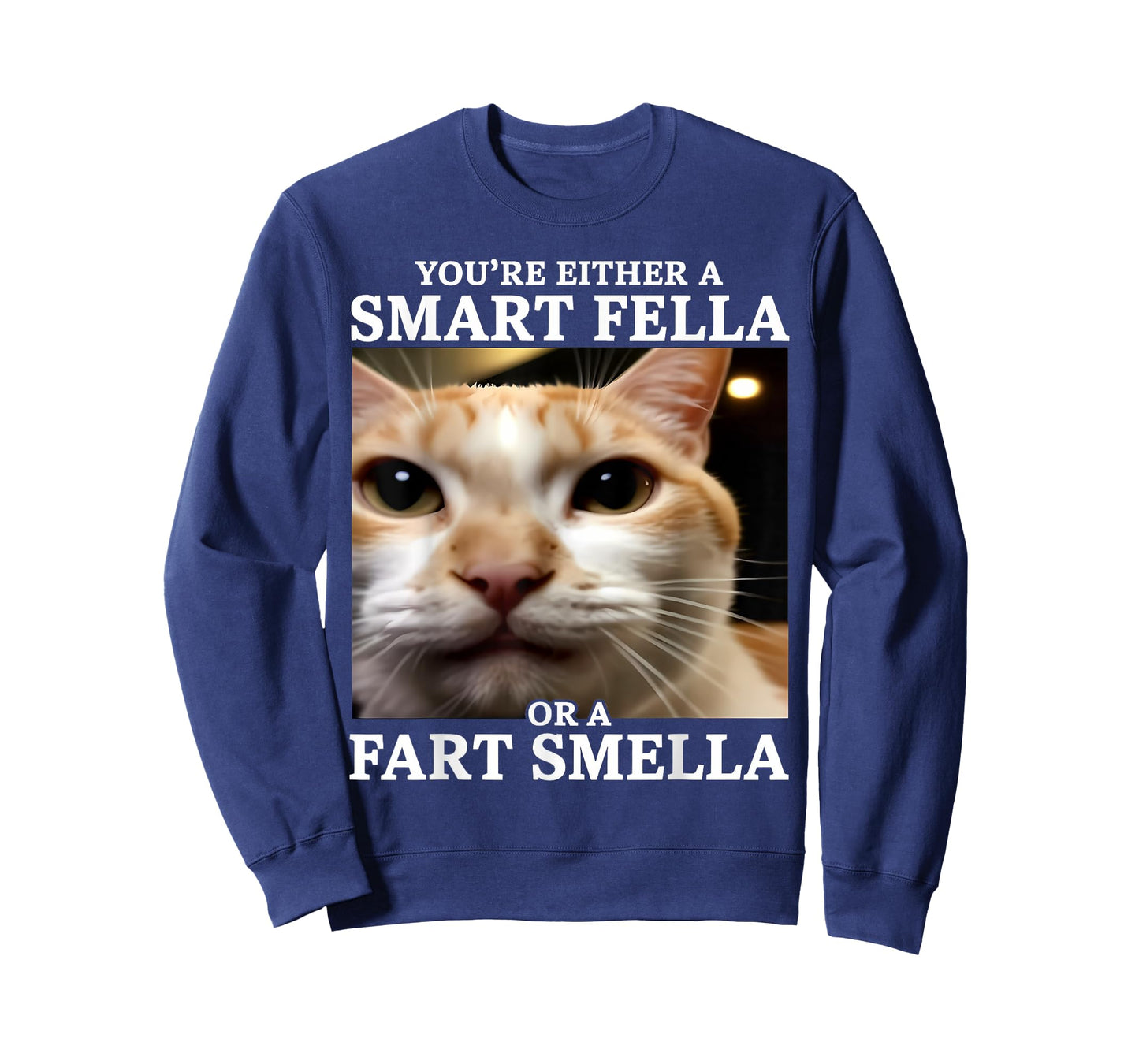 You're Either a Smart Fella or a Fart Smella Funny Cat Meme T-Shirt