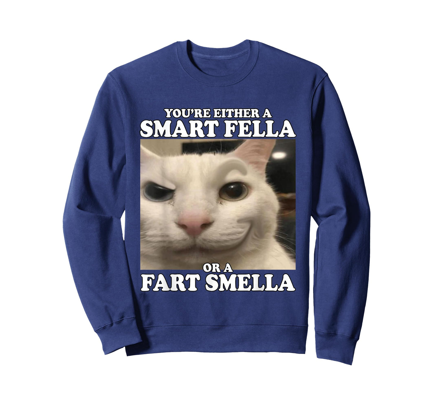 You're Either A Smart Fella Or A Fart Smella Funny Cat Meme T-Shirt