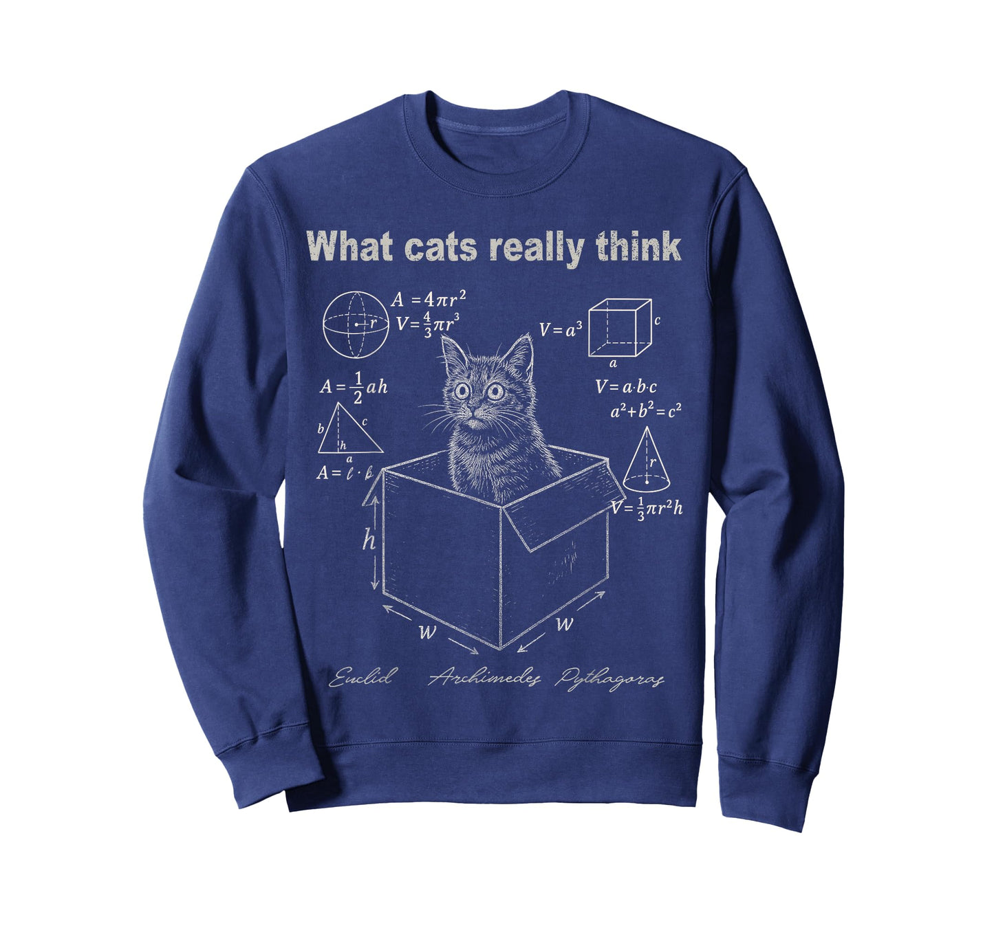 Funny Cat in Box Math Humor Design for Cat Lovers T-Shirt