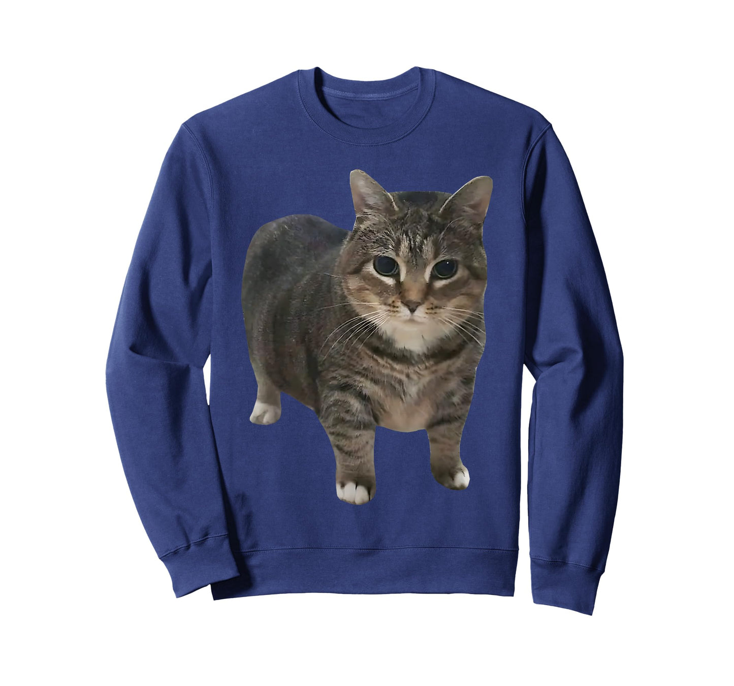 oiia oiia Spinning Cat Meme T-Shirt for Men Women