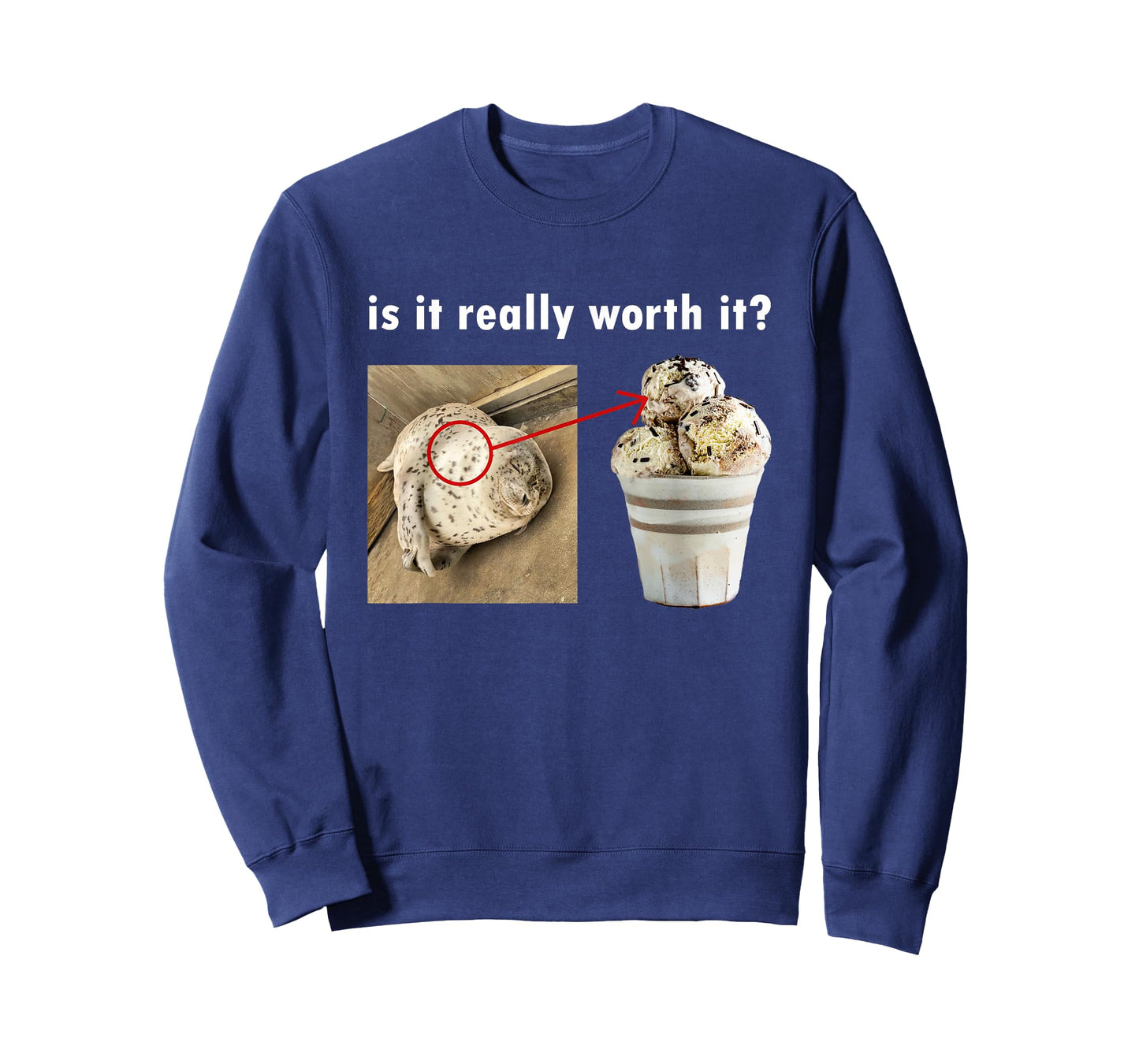 is It Really Worth It Silly Seal Meme T-Shirt
