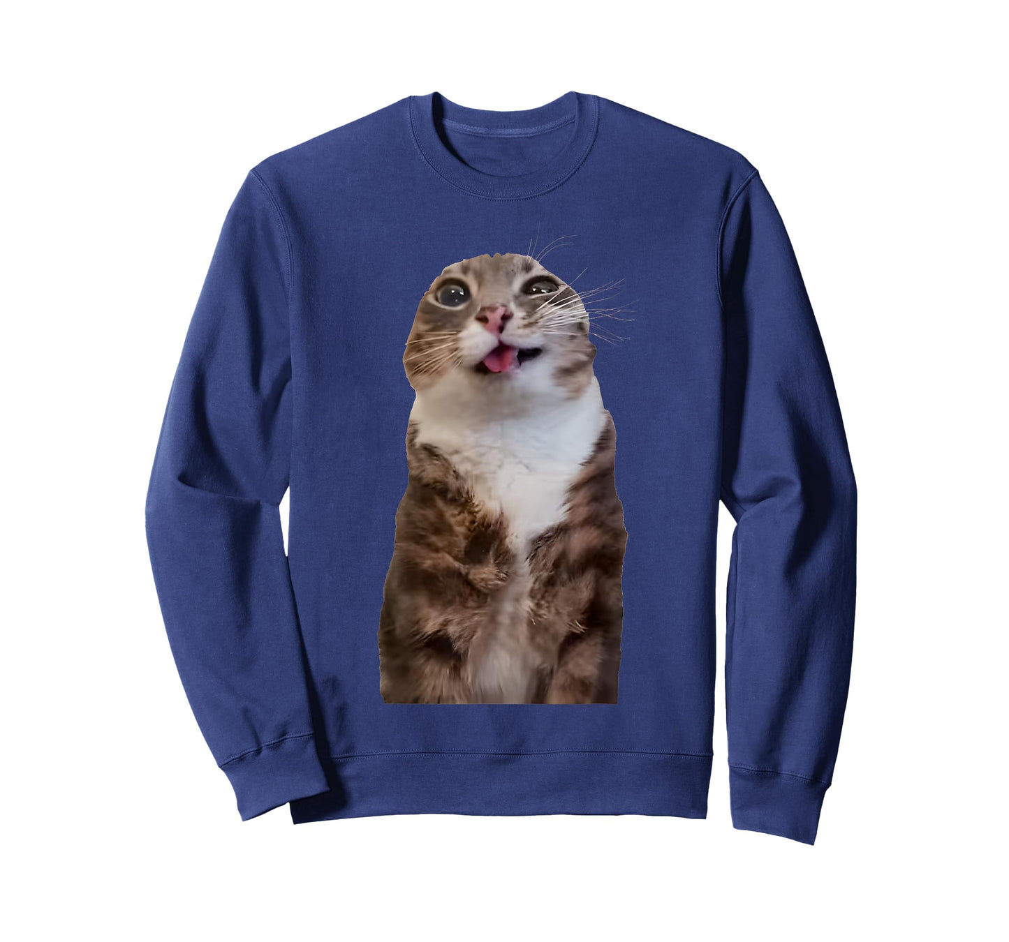 Rigby Cat Funny Rigby Cat Meme Rigby Cat Silly Cat Trendy T-Shirt