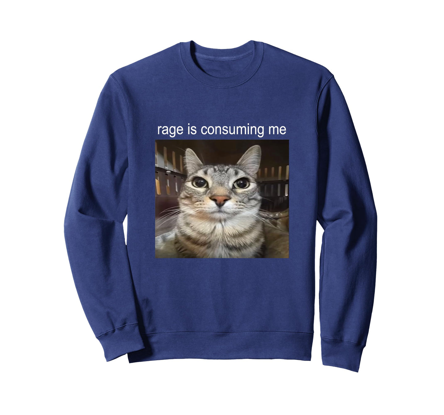Rage is Consuming Me Silly Staring Cat Meme T-Shirt