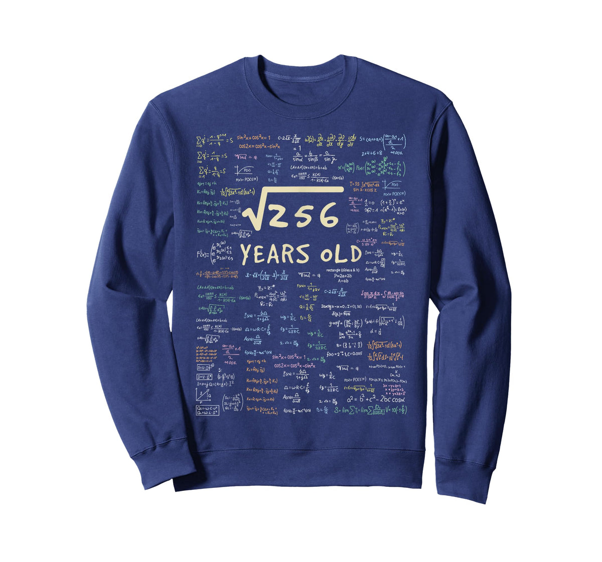 Maths Birthday Gift - 16 Years Formula 16 Birthday T-Shirt