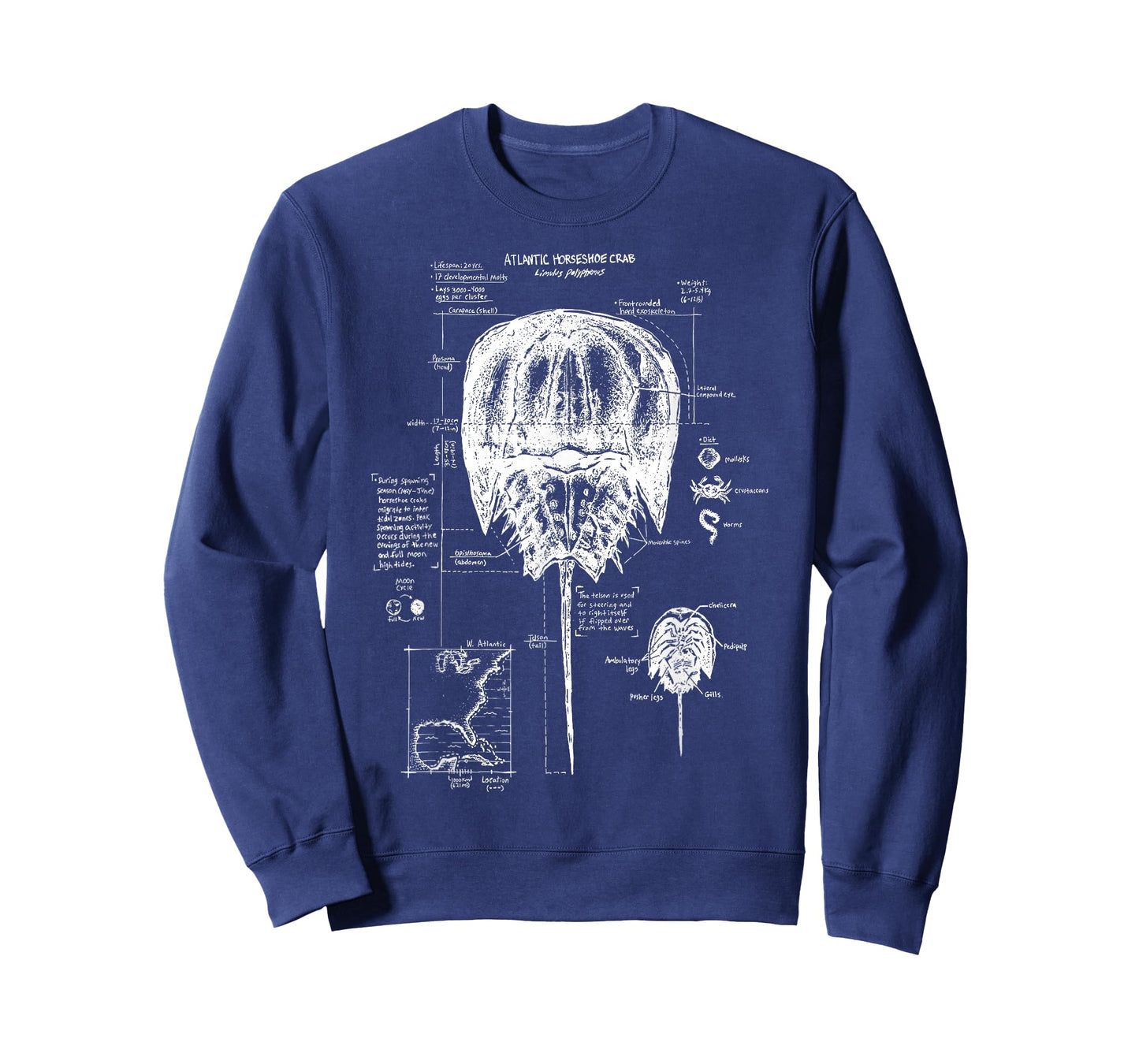 Atlantic Horseshoe Crab Anatomy Marine Biology Ocean Animal T-Shirt