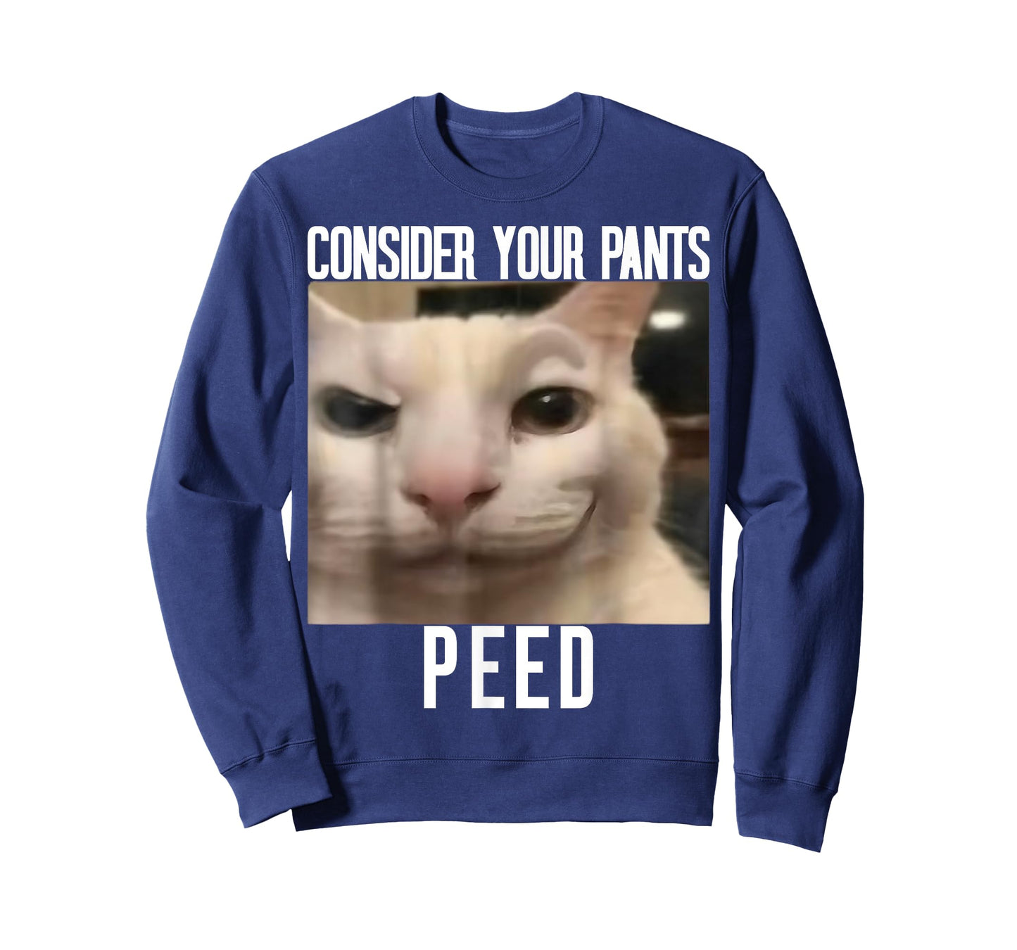 Consider Your Pants Peed Weird Cat Meme Funny Memes Brainrot T-Shirt