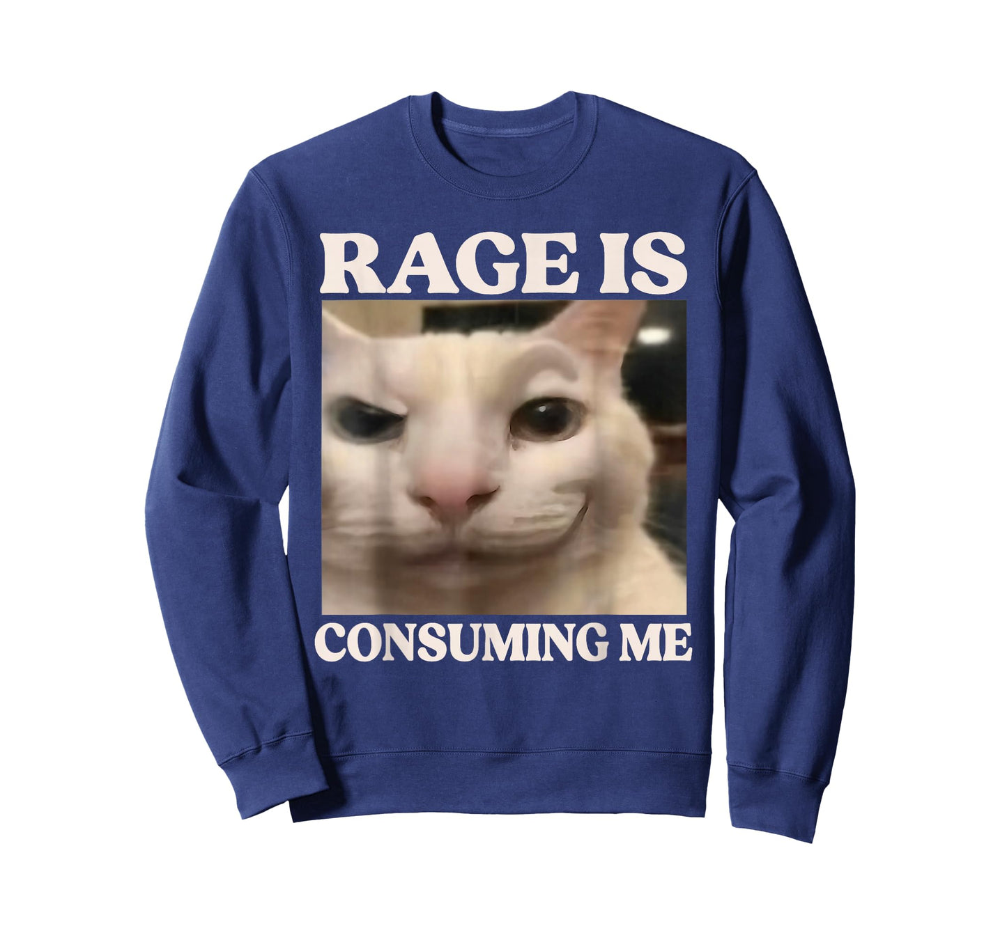 Rage is Consuming Me Cat Silly Cat Meme Rage Consumes Me T-Shirt