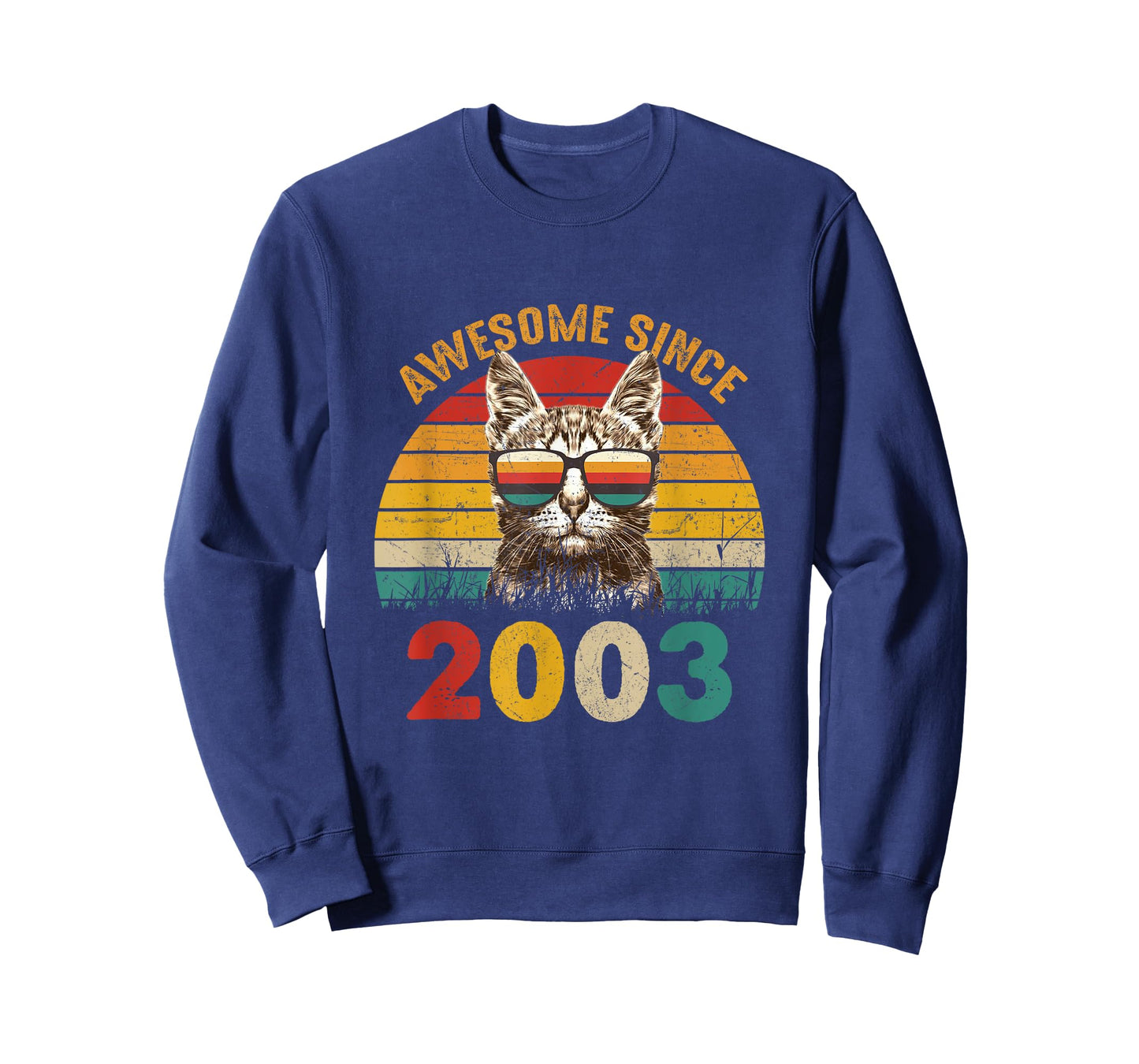 22nd Birthday Party 22 years old Cat Awesome Since 2003 T-Shirt
