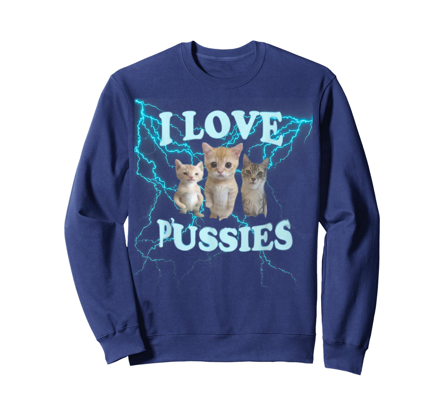 I Love Pussy Cats, Funny Adult Inappropriate Pussy T-Shirt
