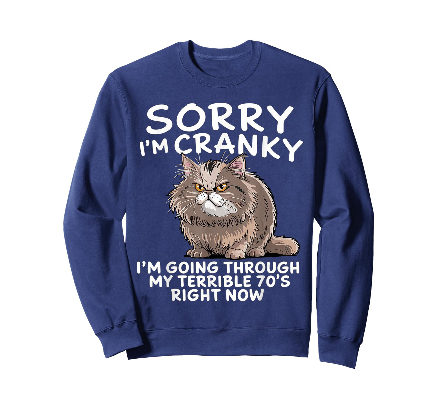 Sorry I Am Cranky I'm Going Through My Terrible Seventies T-Shirt
