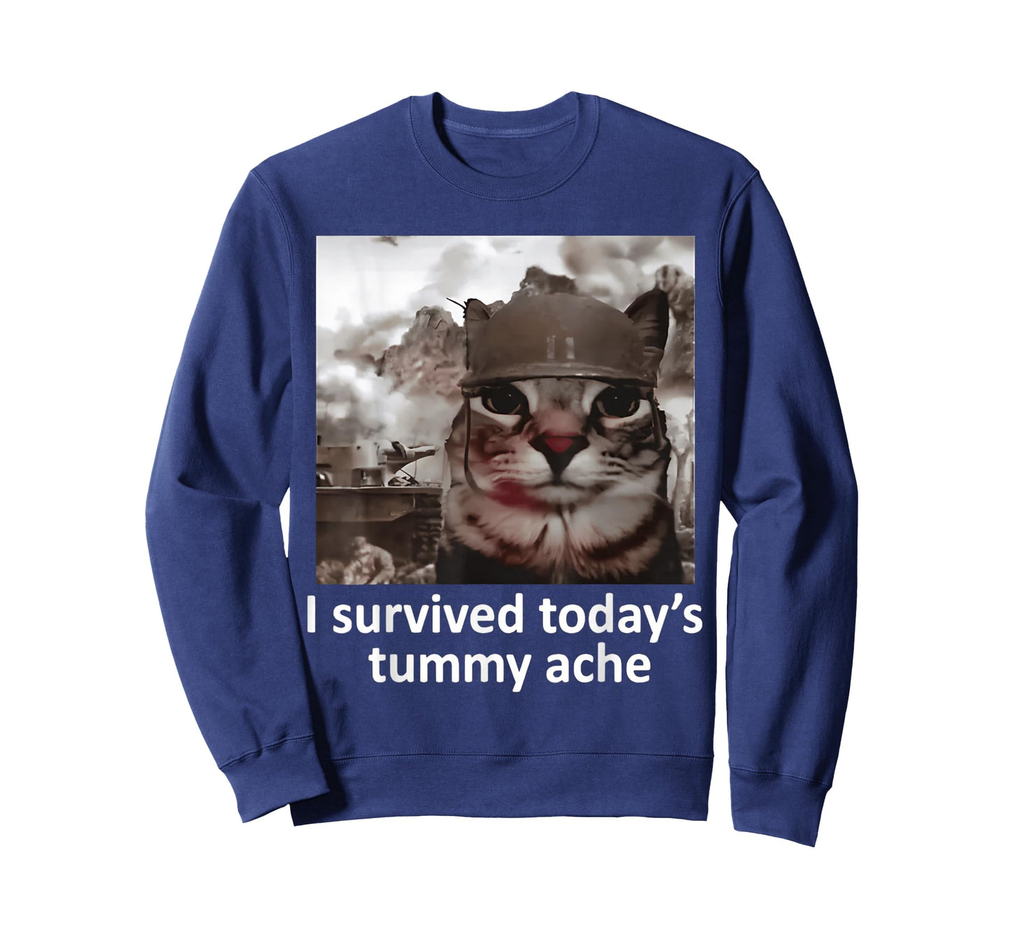 I Survived Today's Tummy Ache T-Shirt