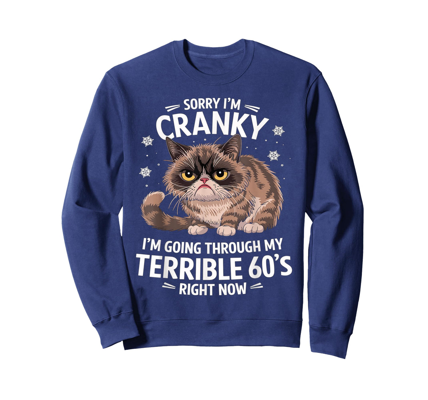 Sorry I'm Cranky I'm Going Through My Terrible 60's Cat T-Shirt