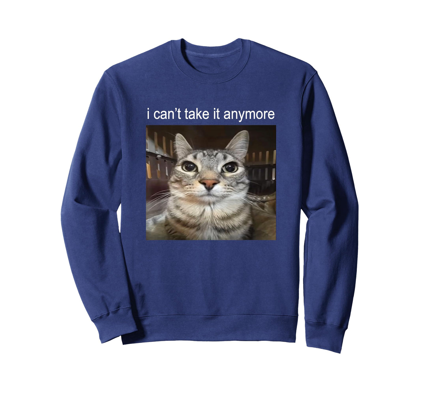 Silly Staring Cat I Can't Take It Anymore Meme T-Shirt