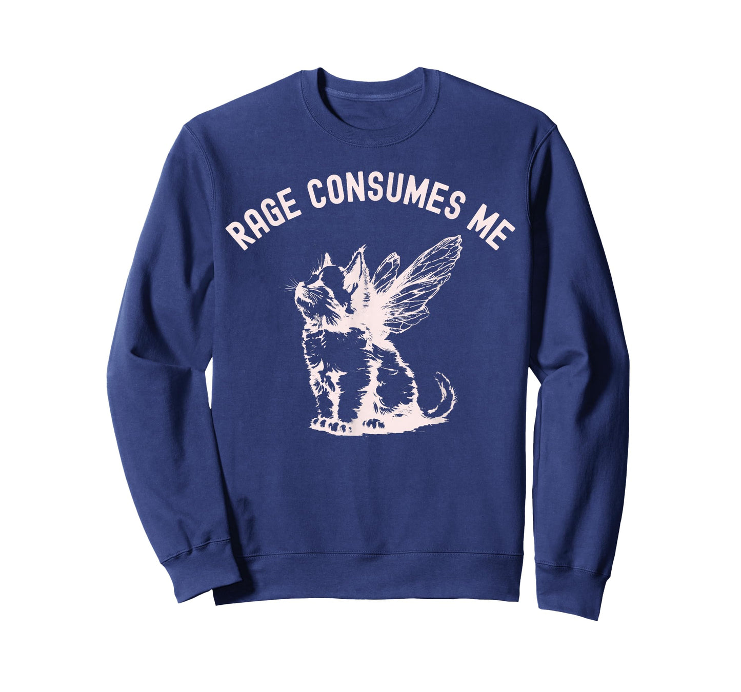 Rage Consumes Me Cat, Meme cat, Vintage style cat lovers T-Shirt for Men Women Kids